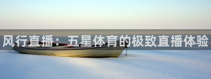永利皇宫有什么好玩的：风行直播：五星体育的极致直播体验