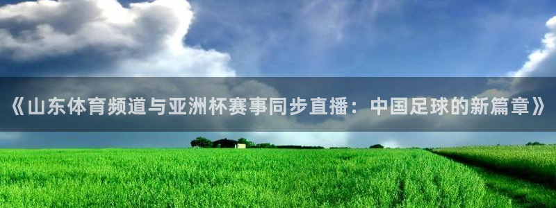 永利：《山东体育频道与亚洲杯赛事同步直播：中国足球的新篇章》