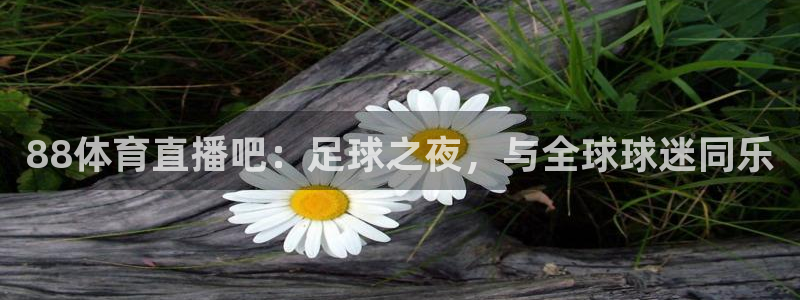 澳门永利酒店：88体育直播吧：足球之夜，与全球球迷同乐